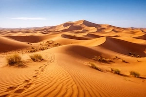 Morocco travel insights from real vlogs